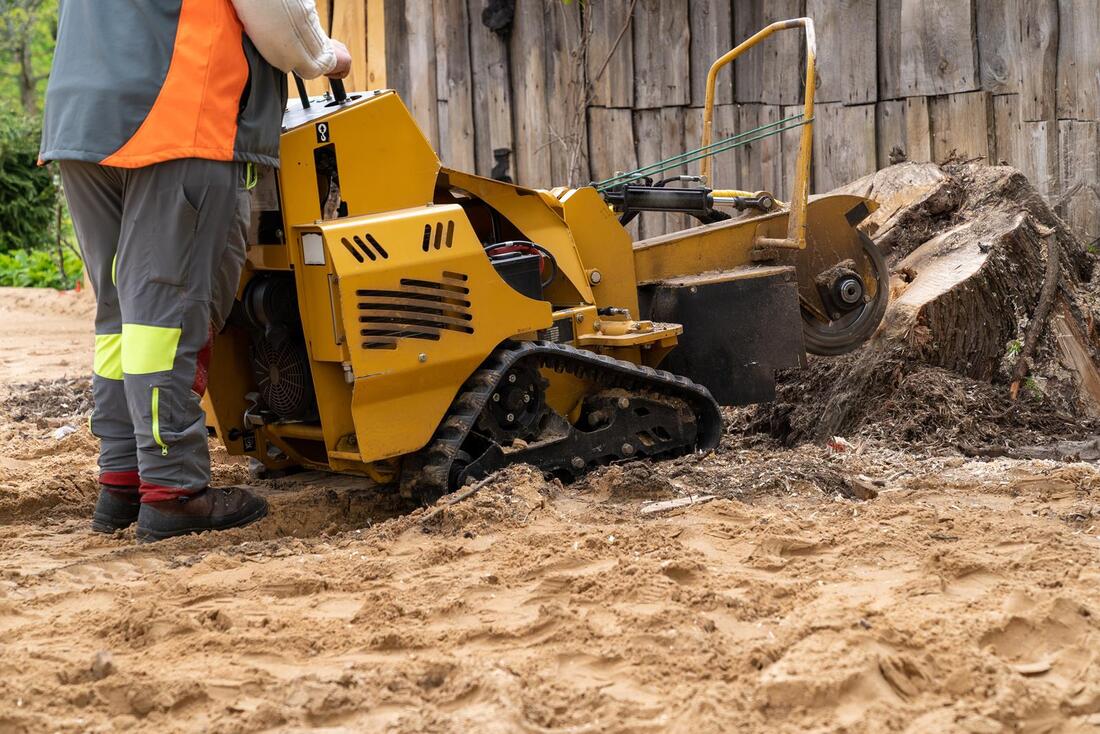 An image of Stump Grinding/Removal in Florence-Graham CA