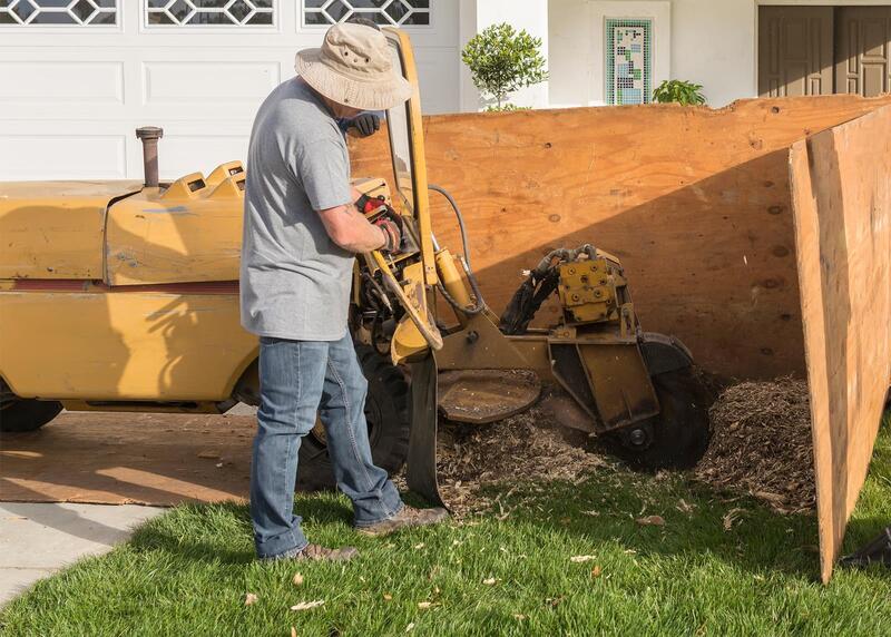 An image of Stump Grinding/Removal Services in Florence-Graham CA